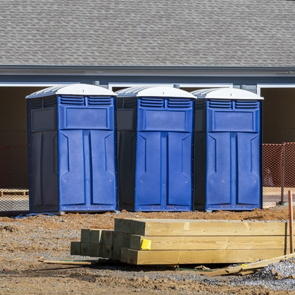 are there any restrictions on what items can be disposed of in the porta potties in Nichols NY